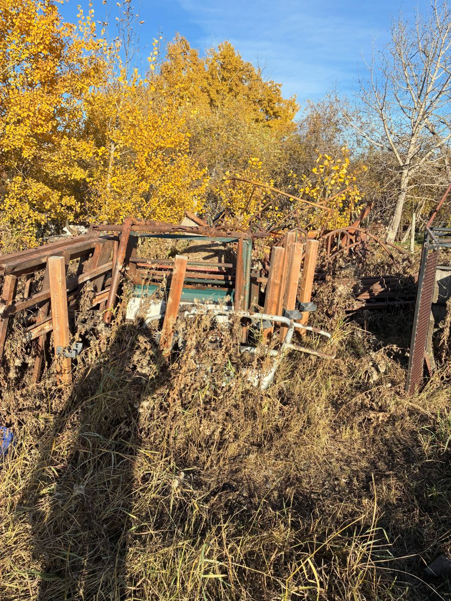 Overgrown farm scrap ready to be cleared